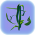 Creepvine Sample.png