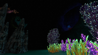 A view inside the underwater caves