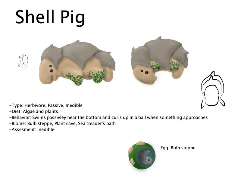 File:Shell Pig.jpg