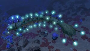 Shocker Koosh.jpg