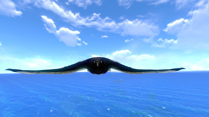 File:Skyray2.jpg