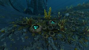 ThermalZoneBarnacle1.jpg