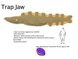 Trap Jaw.jpg