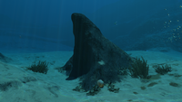 A small rock formation in the biome