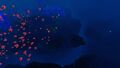 Thumbnail for version as of 22:38, 6 August 2021