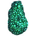 Thumbnail for version as of 22:25, 20 July 2017