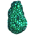 Treespawn Flora.png