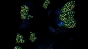 Underwater Islands Caves (1).jpg