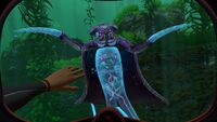 A dead Warper before teleporting away