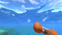 The Air Bladder inflating