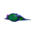 Cryptosuchus Egg