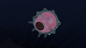 Floater.jpg