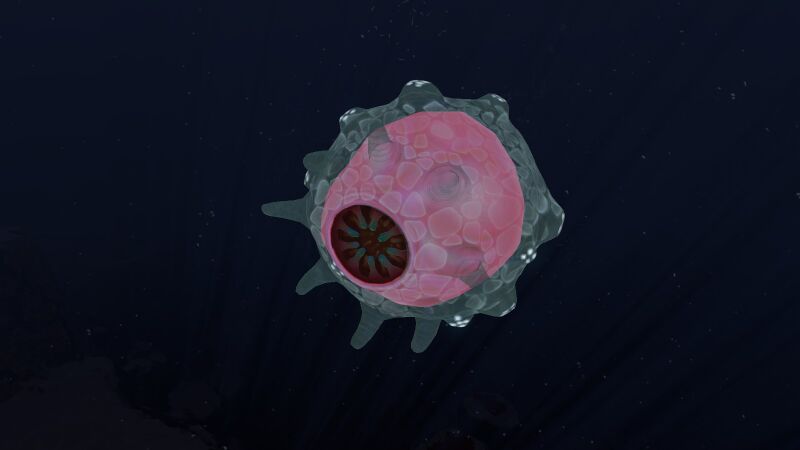 File:Floater.jpg