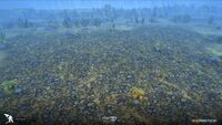 3D Landscape Concept - by Fox3D