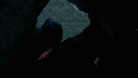 Mountain Island Lagoon from underwater