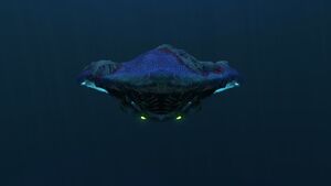 Reefback10.jpg