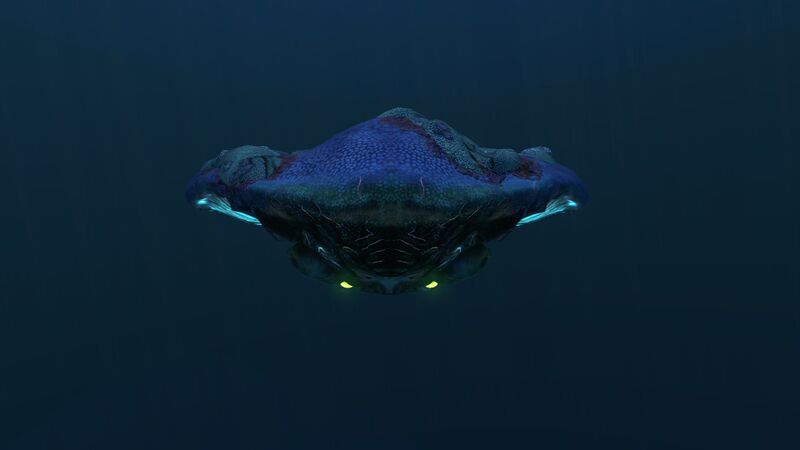 File:Reefback10.jpg