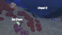 Sea Crown close to Lifepod 12