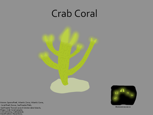 CrabCoralConcept.png