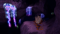 An abundance of flora in the caves