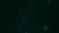 The passage to the Blood Kelp Trench