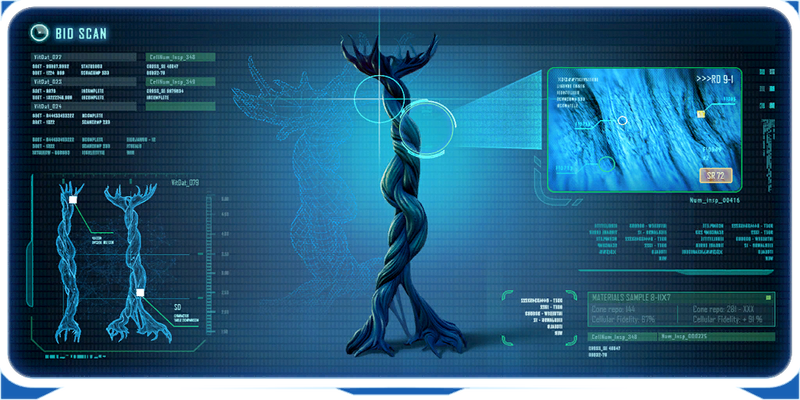 File:Lily Pad Root Ency.png