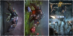 NS Posters.png