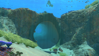A giant coral tube in the Safe Shallows