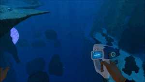 Self scan.gif