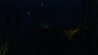 Night time