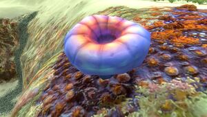 Acid Mushroom (1).jpg