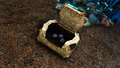 Chinese Potato found in one of the crates
