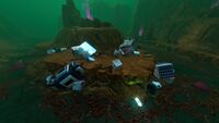 A small wreck found within the biome