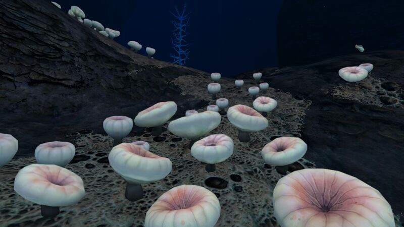 File:Deep Shroom Cluster.jpg