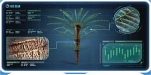 Fern Palm-0.png