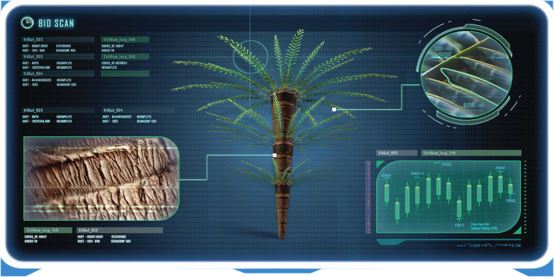 Fern Palm-0.png