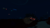 Overview, during night time