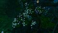 Thumbnail for version as of 23:34, 6 August 2021