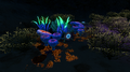 Some Cave Crawlers