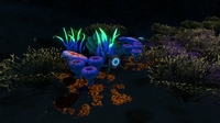 Some Cave Crawlers