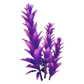 Thumbnail for version as of 03:19, 15 August 2017