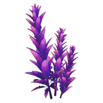 Violet Beau Flora.png