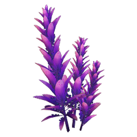 Violet Beau Flora.png