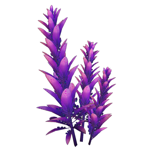 File:Violet Beau Flora.png