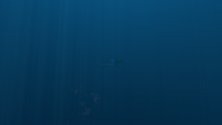A distant Reaper Leviathan in the area