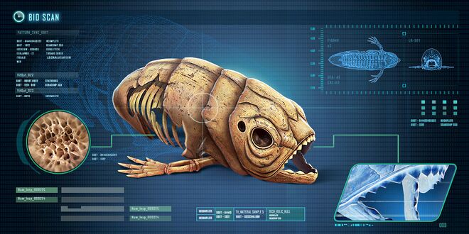 Fox3d-entertainment-giantfishskeleton.jpg