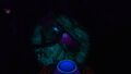 The Ground Sampler from Tree Spires Big Fissure biome (far point of view)