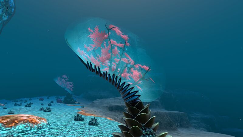 File:Membrane Tree (9).jpg