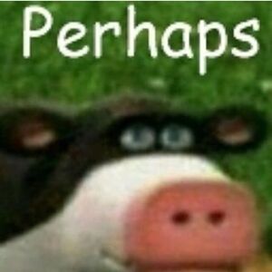 PERHAPSE.jpg