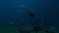 Thumbnail for version as of 17:40, 1 January 2020